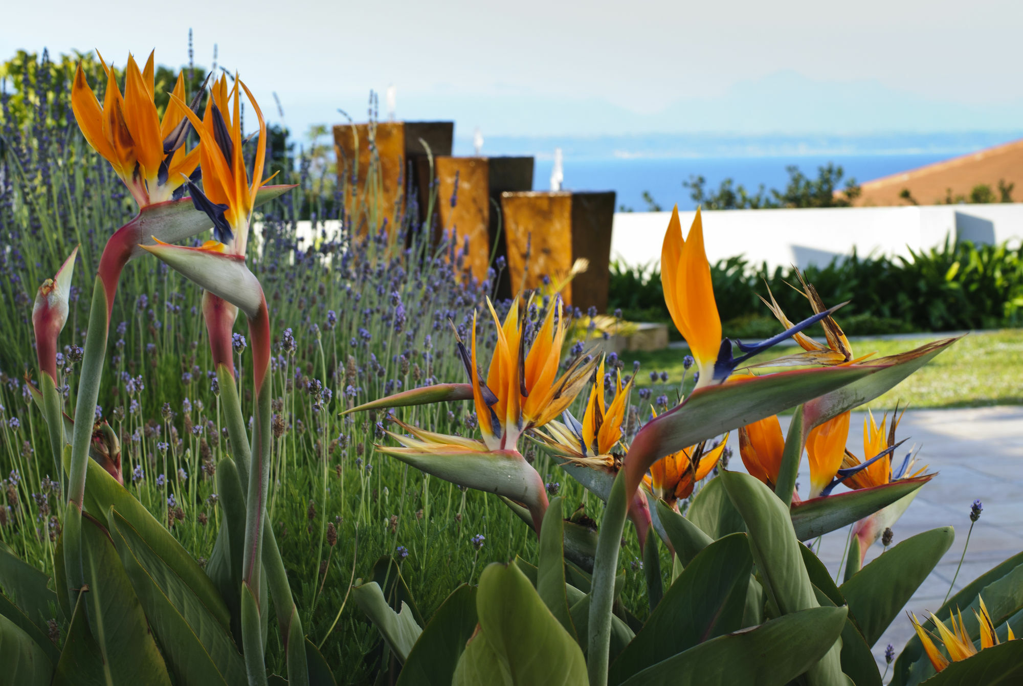 Aquamarine Guest House Mossel Bay Exteriér fotografie